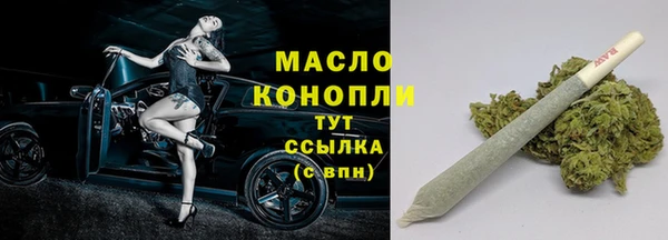 соль ск Надым