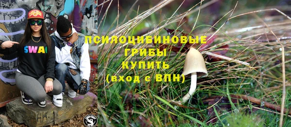 гидра Наволоки