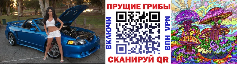 цены   Донецк  mega ONION  Псилоцибиновые грибы GOLDEN TEACHER 