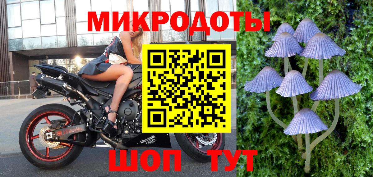 Галлюциногенные грибы Psilocybe Донецк