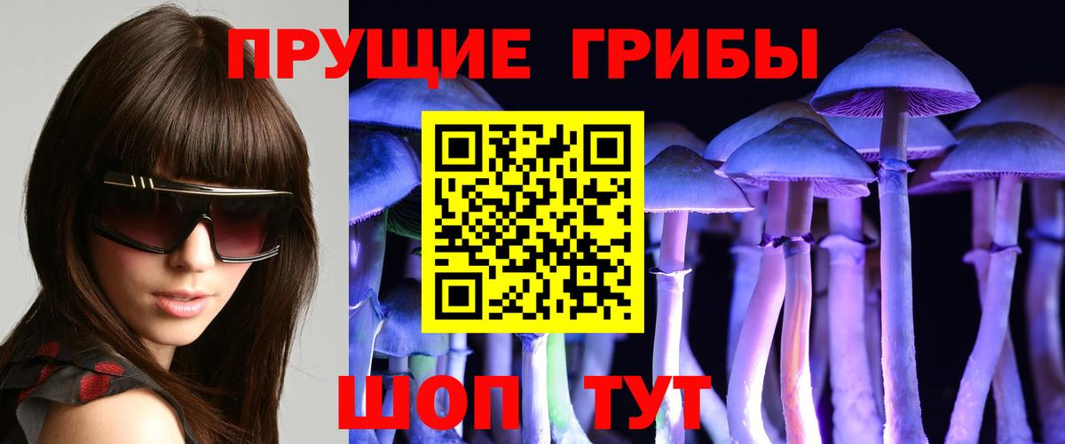 Донецк  Галлюциногенные грибы прущие грибы  Псилоцибиновые грибы Psilocybine cubensis  Вход с VPN 