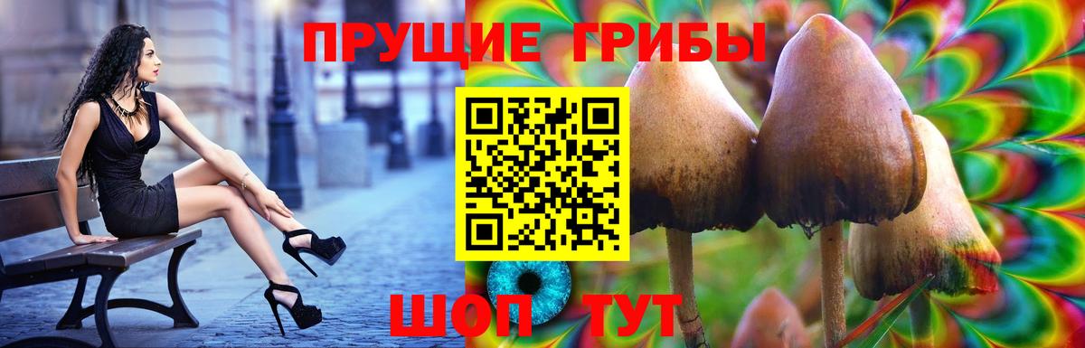 Псилоцибиновые грибы прущие грибы  Донецк 