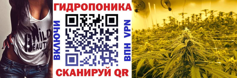 Канабис OG Kush  Донецк 